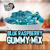 Blue Raspberry Gummy Mix - Delicious Snack for Gummy Lovers - Candy Rush